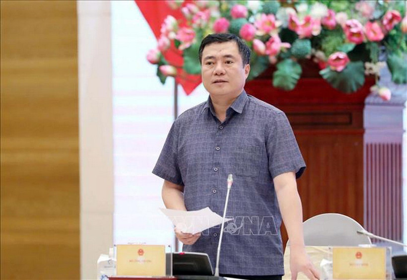 Thứ trưởng Bộ Công thương Nguyễn Sinh Nhật Tân. (Ảnh tư liệu: Phạm Kiên/TTXVN)