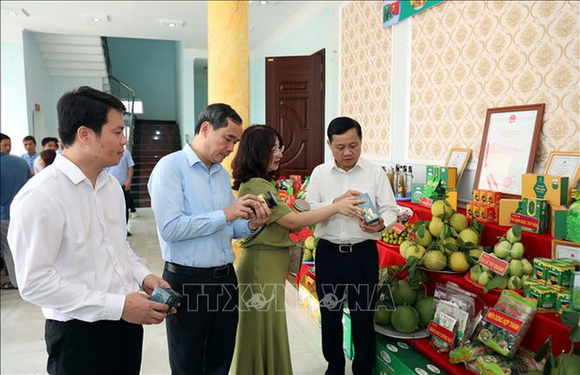 Các đại biểu tham quan gian hàng OCOP của Tuyên Quang. (Ảnh: Hoàng Hải/TTXVN)