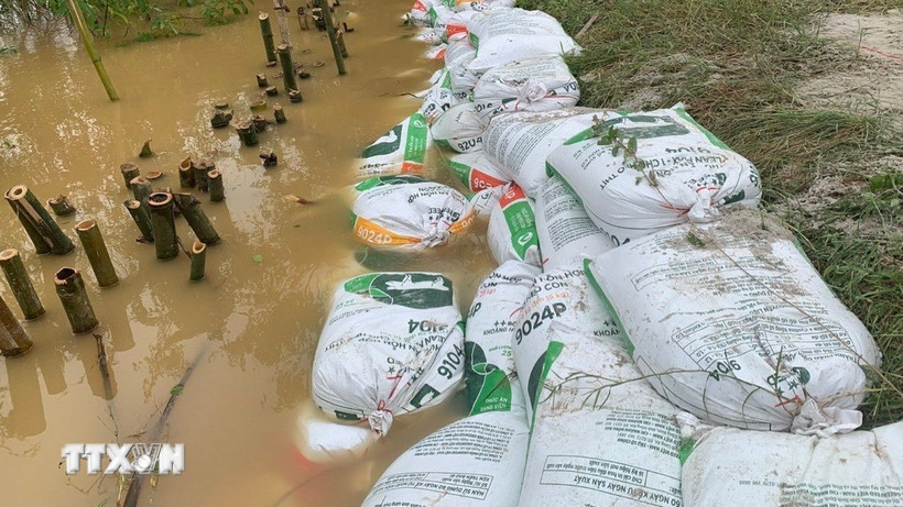 Sạt lở bờ sông Vĩnh Định tại xã Vĩnh Định diễn biến phức tạp. (Ảnh: TTXVN phát)