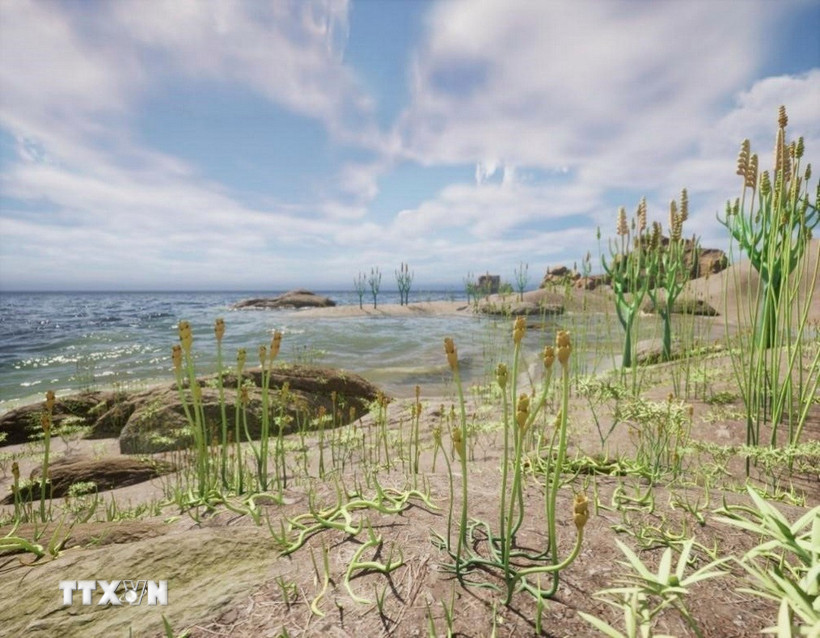 Hình ảnh tái hiện quần thể thực vật từ 410 triệu năm trước. (Ảnh: THX/TTXVN)