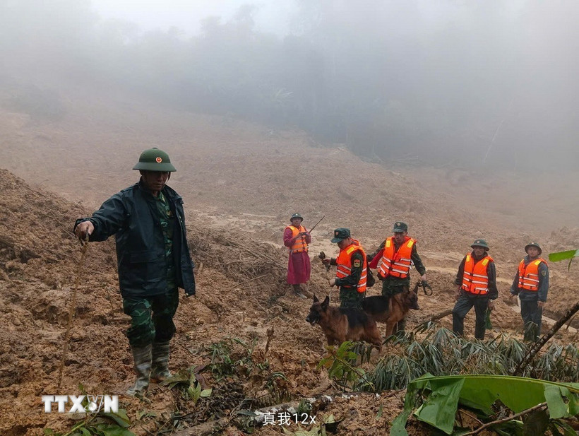 Triển khai lực lượng tìm kiếm nạn nhân mất tích trong vụ sạt lở ở xã biên giới Hùng Sơn với sự hỗ trợ của chó nghiệp vụ. (Ảnh: Bộ Tư lệnh Quân khu 5/TTXVN phát)