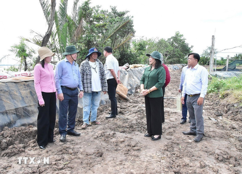Bà Hồ Thị Hoàng Yến, Phó Bí thư Thường trực Tỉnh ủy Vĩnh Long khảo sát khu vực sạt lở bờ biển thuộc ấp Giồng Bàn, xã Long Vĩnh. (Ảnh: Thanh Hòa/TTXVN)