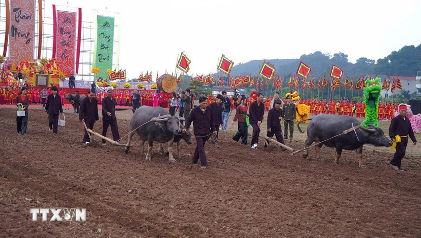 Các đại biểu thực hiện những sá cày tại lễ hội. (Ảnh: Thanh Tuấn/TTXVN)