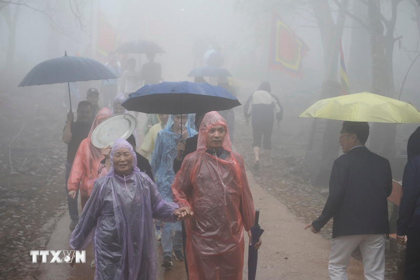 (Ảnh minh họa: Hoa Mai/TTXVN)