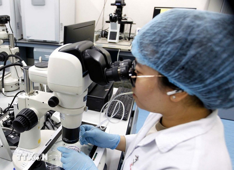 (Ảnh: Thanh Vũ/TTXVN)