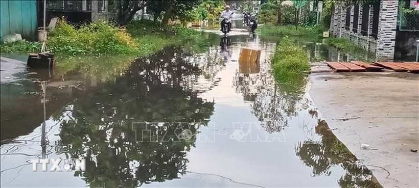 Đường Bùi Thị Cúc, thành phố Cần Thơ lần đầu tiên bị ngập. (Ảnh: Duy Khương/TTXVN)