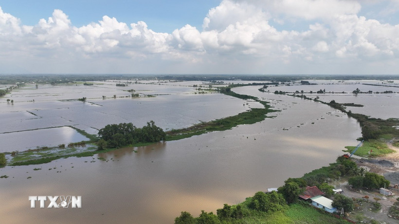 Nước sông Vàm Cỏ Đông (đoạn chảy qua địa phận xã Thạnh Đức, tỉnh Tây Ninh) dâng cao, gây ngập nhiều diện tích đất nông nghiệp của người dân. (Ảnh: Thanh Tân/TTXVN)