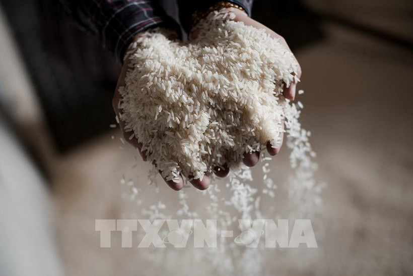 Gạo được bán tại Bangkok, Thái Lan. (Ảnh: AFP/TTXVN)