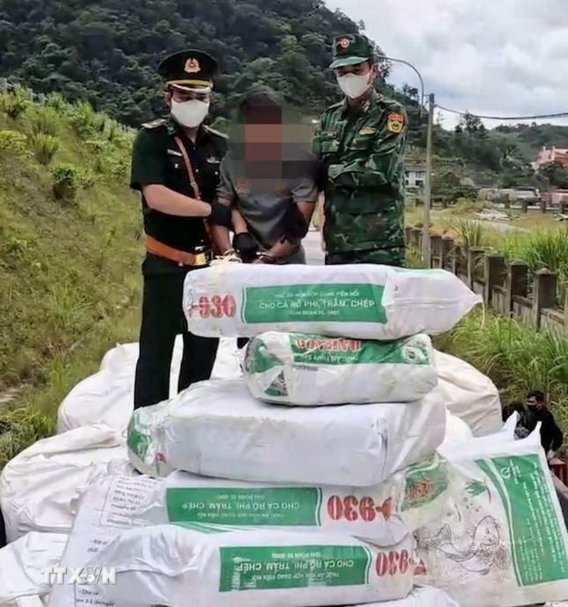 (Ảnh minh họa. TTXVN phát)