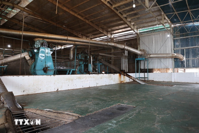 Khu vực đưa cá vào nghiền bột dây chuyền tại nhà máy bột cá của Công ty Trách nhiệm hữu hạn Phúc Lộc Vũng Tàu phải ngưng hoạt động do thiếu nguyên liệu trầm trọng. (Ảnh: Hoàng Nhị/TTXVN)