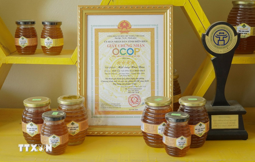 Mật ong Hoa Ban (sản phẩm OCOP 4 sao) là sản phẩm mật ong đặc trưng của Hợp tác xã ong mật Điện Biên. (Ảnh: TTXVN phát)