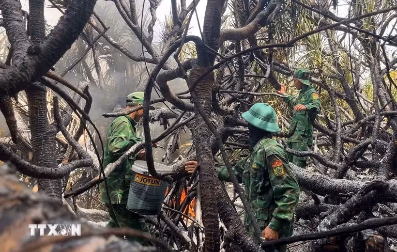 Lực lượng Bộ đội Biên phòng nỗ lực dập lửa cháy rừng phòng hộ tại xã Đông Trạch. (Ảnh: TTXVN phát)