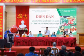 Quang cảnh Diễn đàn “Khuyến nông @ liên kết sản xuất và tiêu thụ sản phẩm nông nghiệp. Ảnh (Bảo Ngọc/Vietnam+)