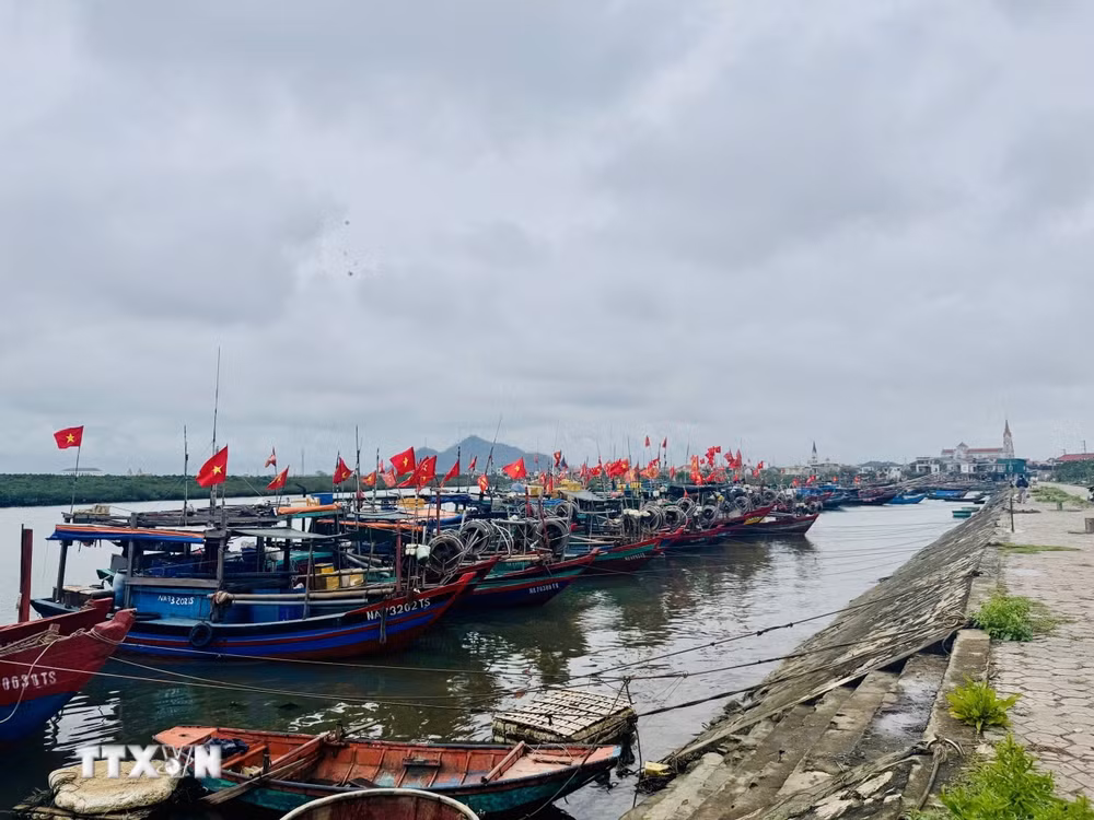 ttxvn-phat-huy-vai-tro-la-chan-bao-ve-ngu-truong-tu-cac-to-dong-quan-ly-nghe-ca-tai-ha-tinh-2.jpg