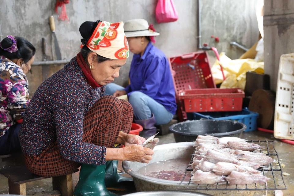 Nghề nướng cá biển bằng than hoa ở xã Ngọc Bích (huyện Diễn Châu, Nghệ An) đã tồn tại gần 100 năm. Sở hữu gần 470 tàu, thuyền chuyên khai thác các loại hải sản, xã Ngọc Bích có số lượng phương tiện tàu, thuyền khai thác hải sản lớn nhất huyện Diễn Châu. Địa phương này cũng có số lượng lò nướng cá biển truyền thống lớn nhất huyện, với hơn 210 hộ, mỗi hộ có từ 2 đến 4 lò nướng. (Ảnh: Xuân Tiến/TTXVN)