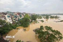 Nước sông Hồng dâng cao, ảnh hưởng đến cuộc sống của người dân Hà Nội. (Ảnh: Minh Quyết/TTXVN)