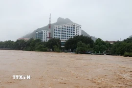 Mực nước trên sông Lô (đoạn qua phường Hà Giang 1) dâng lên rất nhanh, gây ngập lụt trên diện rộng. (Ảnh: Đức Thọ/TTXVN)