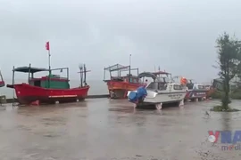 Hải Phòng: Đặc khu Bạch Long Vĩ ứng phó với cơn bão số 3