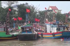 Nghệ An cấm biển với tất cả tàu, thuyền để phòng, chống bão số 3 