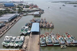 Cảng cá Cát Lở (phường Phước Thắng, Thành phố Hồ Chí Minh). (Ảnh: Đoàn Mạnh Dương/TTXVN)