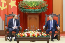 Tổng Bí thư Tô Lâm tiếp ông Nate Franklin, nhà sáng lập và Chủ tịch Tập đoàn Pacifico Energy (PE), Hoa Kỳ. (Ảnh: Thống Nhất/TTXVN)
