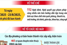 Tình hình vận hành mô hình tổ chức chính quyền địa phương hai cấp 