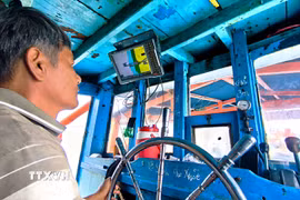 Nhờ công tác tuyên truyền, ngư dân Cà Mau luôn nâng cao ý thức, trách nhiệm trong khi khai thác, đánh bắt thủy sản ngoài khơi. (Ảnh: Chanh Đa/TTXVN)