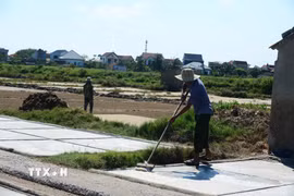 Giữa cái nắng gay gắt như đổ lửa những ngày cuối tháng 5, diêm dân làng muối Tam Hòa (xã Hoa Lộc, tỉnh Thanh Hóa) vẫn tất bật trên những cánh đồng muối trắng. (Ảnh: Hoa Mai/TTXVN)