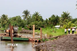 Gia cố đoạn sạt lở Đê bao sông Măng Thít qua xã Tân Long Hội, tỉnh Vĩnh Long. (Ảnh: Lê Thúy Hằng/TTXVN)
