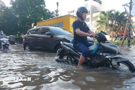  (Ảnh minh họa. Văn Điệp/TTXVN)