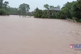 Mưa lũ do bão số 1 khiến 6 người thiệt mạng và mất tích