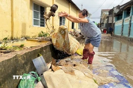 Sau khi nước rút, người dân Đắk Lắk tranh thủ dọn dẹp rác. (Ảnh: Nguyên Dung/TTXVN)