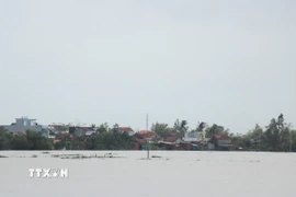 Đến sáng 23/11, một số khu vực dân cư phường Đông Hòa, tỉnh Đắk Lắk vẫn còn ngập sâu. (Ảnh: Tuấn Anh/TTXVN)