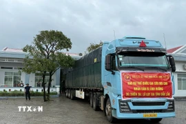 Gạo cứu trợ được vận chuyển đến các địa phương chịu thiệt hại nặng nề do lũ lụt tại Đắk Lắk. (Ảnh: TTXVN phát)