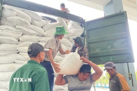 Gạo cứu trợ được vận chuyển đến các địa phương chịu thiệt hại nặng nề do lũ lụt gây ra. (Ảnh: TTXVN phát)