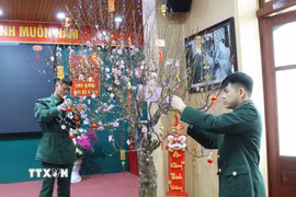 Cán bộ, chiến sỹ Đồn Biên phòng Cửa khẩu quốc tế Hữu Nghị (Lạng Sơn) chăm sóc, trang trí cây đào Tết tại đơn vị. (Ảnh: Quang Duy/TTXVN)