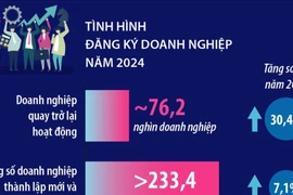 Số doanh nghiệp thành lập mới và quay lại hoạt động trong năm 2024 tăng 7,1% 