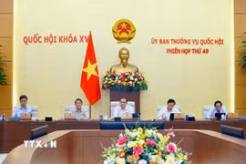 Chủ tịch Quốc hội Trần Thanh Mẫn phát biểu. (Ảnh: Doãn Tấn/TTXVN)