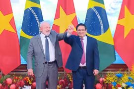Cụ thể hóa khuôn khổ quan hệ mới giữa Việt Nam và Brazil hiệu quả, thực chất