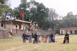 Những "chiến sỹ đặc biệt" trên trận tuyến bảo vệ ngày hội non sông 