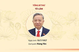 Các đồng chí Ủy viên Bộ Chính trị khóa XIII 