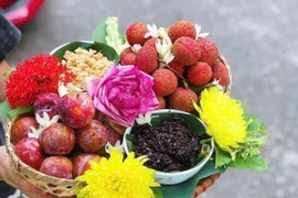 Trên mâm cúng Tết Đoan Ngọ của nhiều gia đình thường không thể thiếu mận, vải, cơm rượu nếp, bánh tro.