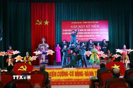 Chương trình văn nghệ chào mừng kỷ niệm 63 năm kết nghĩa Sư đoàn 304-Thông tấn xã Việt Nam. (Ảnh: An Đăng/TTXVN)