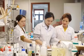 Thạc sỹ, dược sỹ Nguyễn Thị Hương Liên, Phó tổng giám đốc Công ty cổ phần Sao Thái Dương đã nghiên cứu, cho ra đời 14 sáng chế và giải pháp hữu ích kết hợp thảo dược thiên nhiên với các công nghệ và kỹ thuật hiện đại của thế giới, tiên phong xuất khẩu các sản phẩm thảo dược tới các thị trường khó tính như Mỹ, EU, UK. (Ảnh: Phương Hoa/TTXVN)