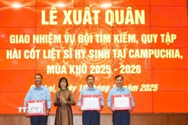 Bà Nguyễn Thị Thanh Lịch, Phó Chủ tịch Ủy ban Nhân dân tỉnh Gia Lai, Trưởng Ban chỉ đạo 515 tỉnh động viên cán bộ, chiến sỹ Đội K52 lên đường làm nhiệm vụ. (Ảnh: Hồng Điệp/TTXVN)