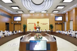 Chủ tịch Quốc hội Trần Thanh Mẫn phát biểu. (Ảnh: Doãn Tấn/TTXVN)