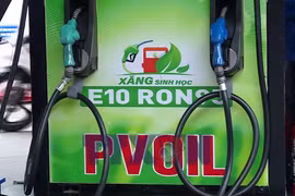 Ôtô và bước chuyển sang xăng sinh học E10: Hướng tới giao thông xanh 