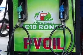 Ôtô và bước chuyển sang xăng sinh học E10: Hướng tới giao thông xanh 