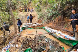 (Ảnh minh họa: TTXVN phát)