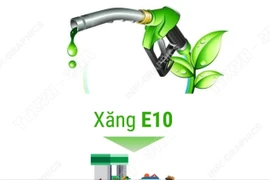 Thí điểm bán xăng E10 tại Hà Nội, TP Hồ Chí Minh và Hải Phòng từ ngày 1/8/2025 